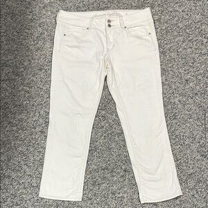 American Eagle Cropped Artist Jeans